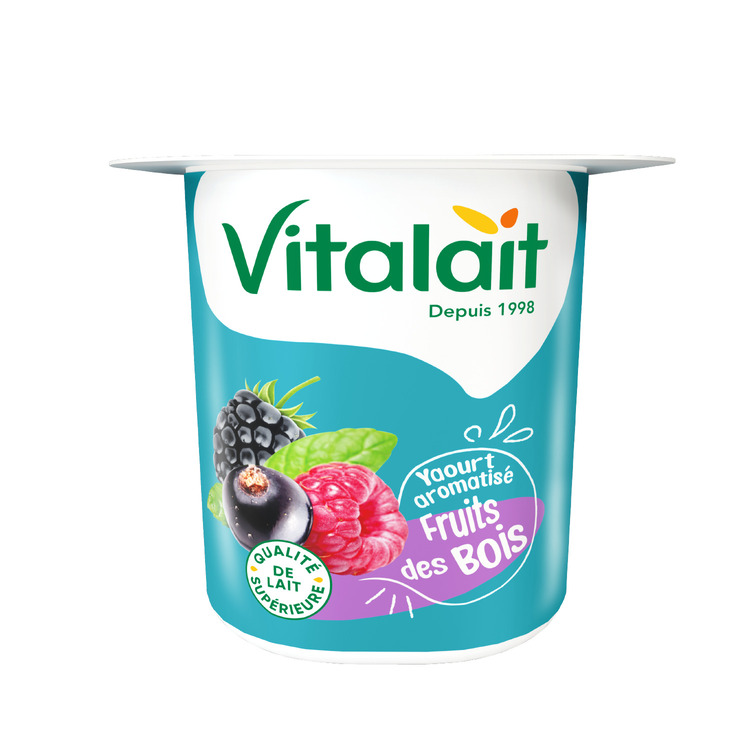 Yaourt aromatisé fruit des bois