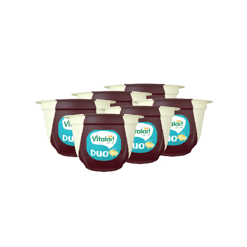 Lot 6 crèmes dessert duo